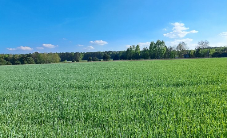 działka na sprzedaż - Łask (gw), Rembów