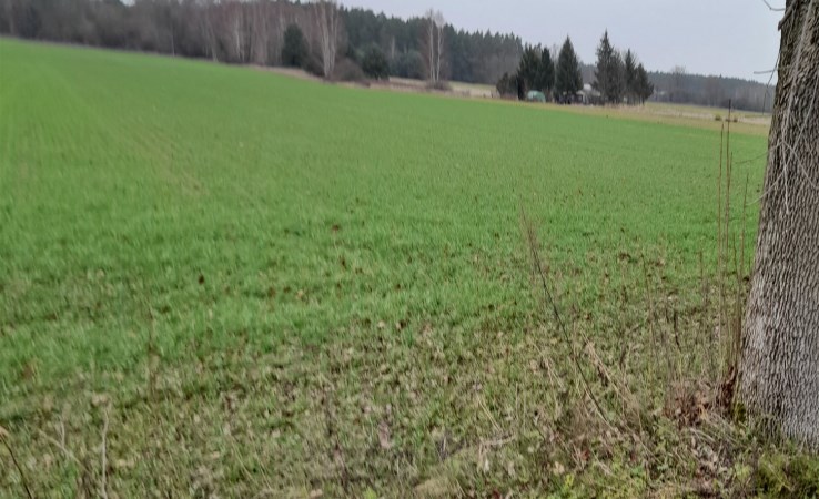 działka na sprzedaż - Widawa, Patoki