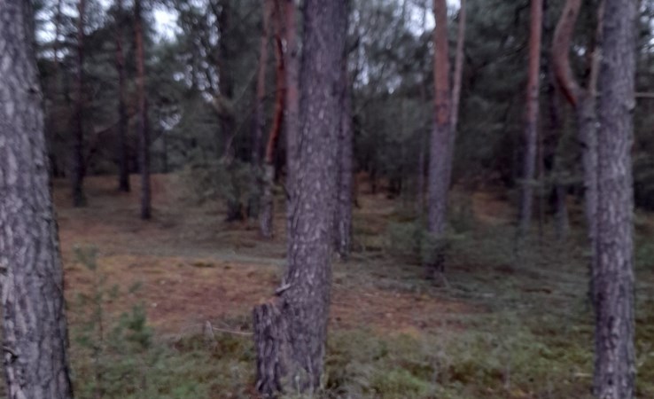 działka na sprzedaż - Widawa, Patoki